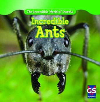 Library Binding Incredible Ants Book
