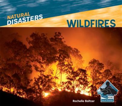 Wildfires - Book  of the Natural Disasters