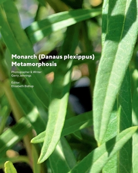 Paperback Monarch (Danaus plexippus) Metamorphosis: Monarch Metamorphosis Book