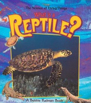 Paperback What Is a Reptile? Book