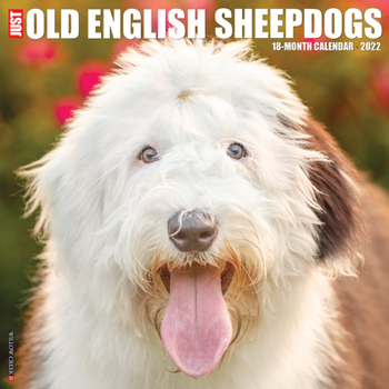 Calendar Just Old English Sheepdogs 2022 Wall Calendar (Dog Breed) Book