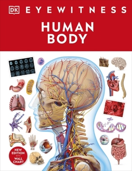 Hardcover DK Children Human Body (DK Eyewitness). Book