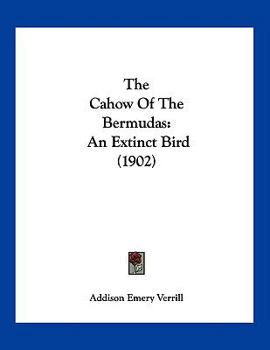 Paperback The Cahow Of The Bermudas: An Extinct Bird (1902) Book