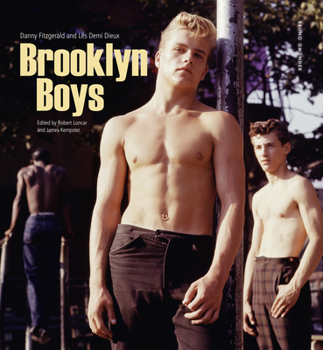 Hardcover Brooklyn Boys Book