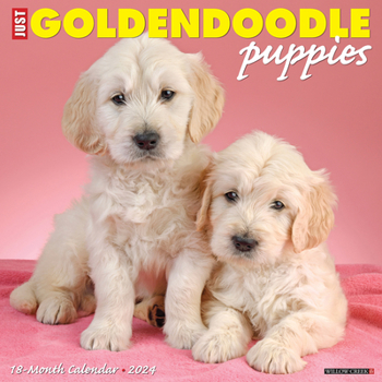 Calendar Just Golden Puppies 2024 12 X 12 Wall Calendar Book