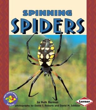 Paperback Spinning Spiders Book