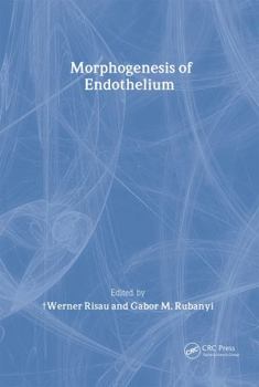 Hardcover Morphogenesis of Endothelium Book