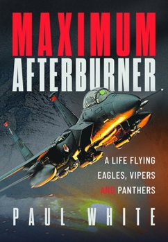 Maximum Afterburner : High Stakes Missions in the F-15E Strike Eagle and F-16 Viper