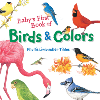 Board book Baby's First Book of Birds & Colors Book