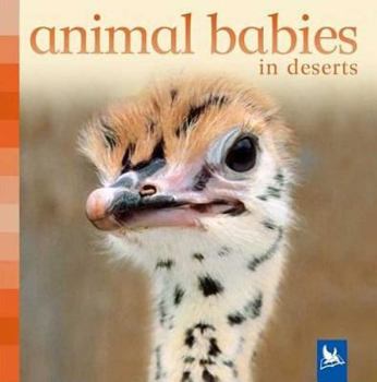 Board book Animal Babies in Deserts Book