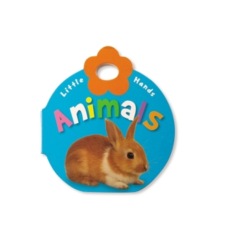 Board book Animals Book