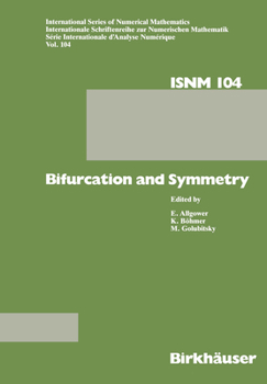 Hardcover Bifurcation and Symmetry: Cross Influence Between Mathematics and Applications Book