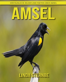 Paperback Amsel: Erstaunliche Bilder und Fakten ?ber Amsel [German] Book