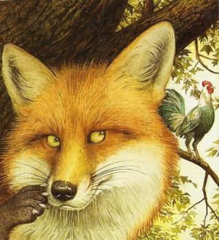 Hardcover The Fox and the Rooster Book