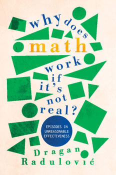 Paperback Why Does Math Work ... If It's Not Real? Book