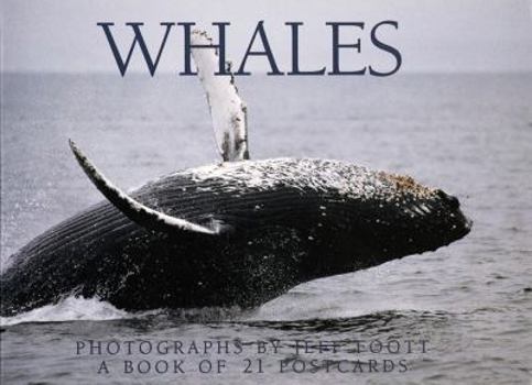 Cards Whales Postcard Book