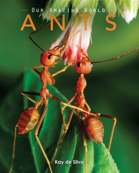 Paperback Ants: Amazing Pictures & Fun Facts on Animals in Nature Book