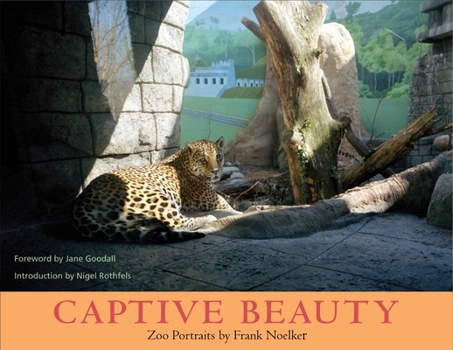 Paperback Captive Beauty: Zoo Portraits Book