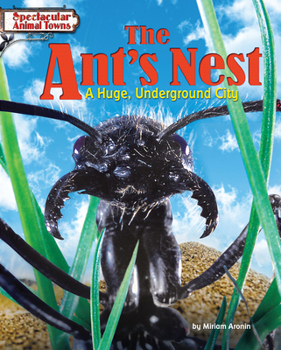 Paperback The Ant's Nest: A Huge, Underground City Book