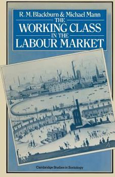 Paperback The Working Class in the Labour Market Book