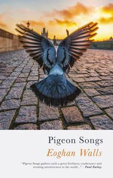 Paperback Pigeon Songs Book