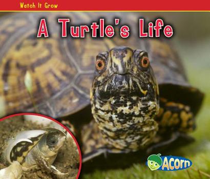 A Turtle's Life - Book  of the ¡Mira Cómo Crece!