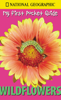 Paperback Wildflowers Book