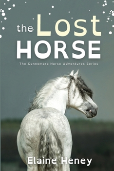 The Lost Horse - Dyslexia Friendly (Connemara Horse Adventure)