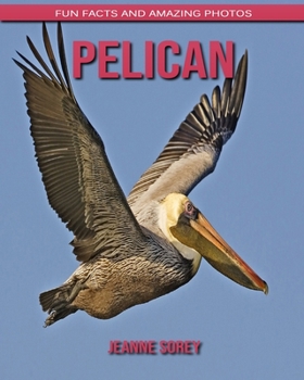 Pelican: Fun Facts and Amazing Photos