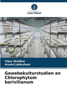Gewebekulturstudien an Chlorophytum borivilianum (German Edition)