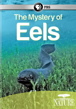 DVD Nature: The Mystery of Eels Book