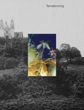 Hardcover Terraforming: Olana's Historic Photography Collection Unearthed Book
