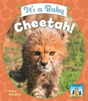 Library Binding It's a Baby Cheetah! Book