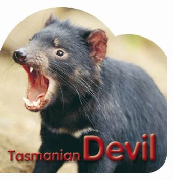 Unknown Binding Tasmanian Devil [Board book] Book