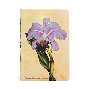 Diary Paperblanks Brazilian Orchid Painted Botanicals Hardcover Mini Lined Elastic Band Closure 176 Pg 85 GSM Book