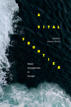 Paperback A Vital Frontier: Water Insurgencies in Europe Book