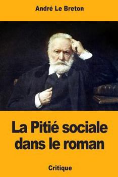 Paperback La Pitié sociale dans le roman [French] Book