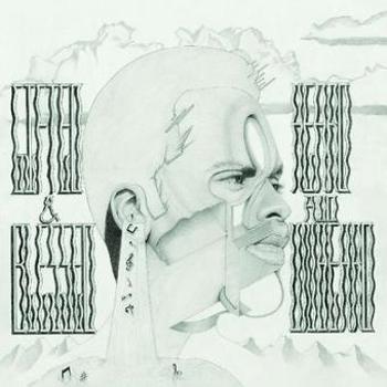 Vinyl Heard And Unheard Book