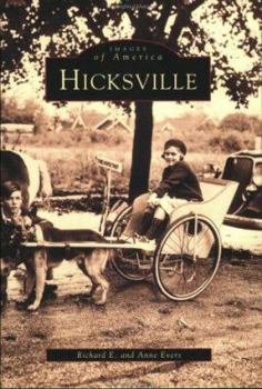 Paperback Hicksville Book