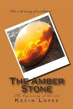 Paperback The Amber Stone Book