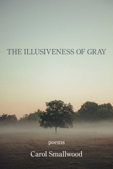 Paperback The Illusiveness of Gray Book