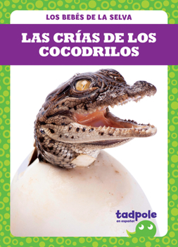 Library Binding Las Crías de Los Cocodrilos (Crocodile Hatchlings) [Spanish] Book