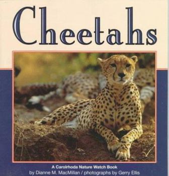 Paperback Cheetahs Book