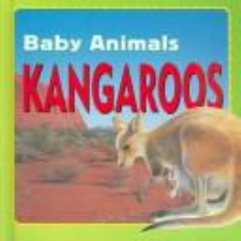 Kangaroos
