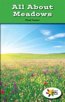 All about Meadows