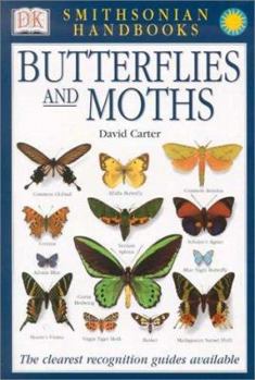 Paperback Butterflies & Moths: The Clearest Recognition Guide Available Book
