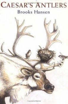Paperback Caesar's Antlers Book