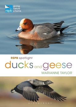 Paperback Rspb Spotlight Ducks and Geese Book