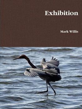 Paperback Exhibition Book