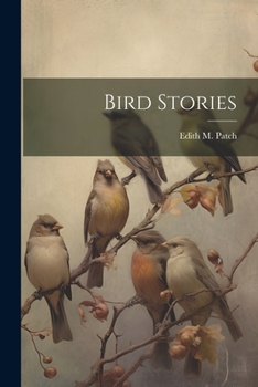 Paperback Bird Stories Book